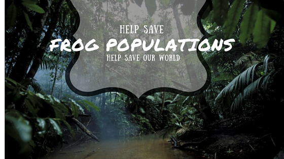 Help Save frog populations